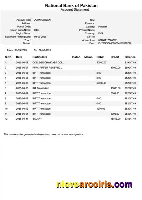 Pakistan National Bank of Pakistan account statement Word and PDF, version 2